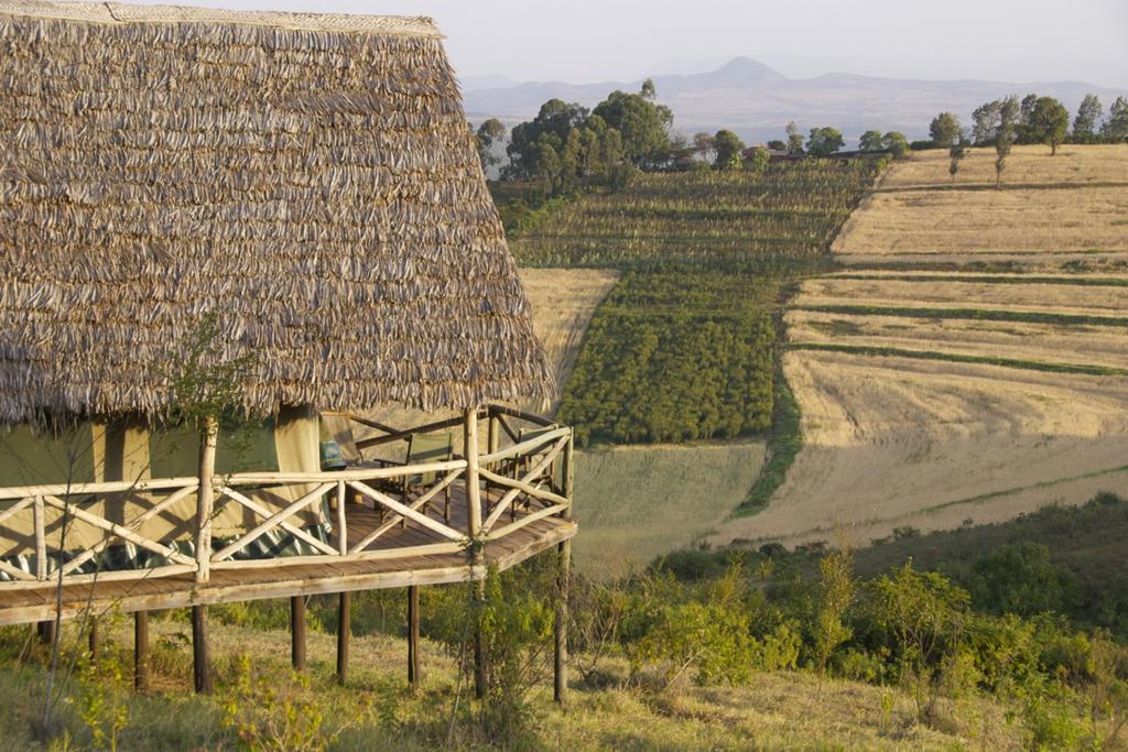 Rhotia Valley Tented Lodge And Children'S Home Karatu Rum bild